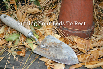 Putting Your Beds to Rest