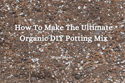 How To Make The Ultimate Organic DIY Potting Mix