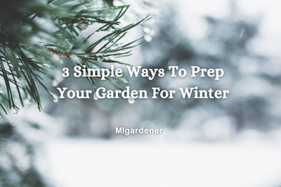 3 Simple Ways to Prep Your Garden For Winter