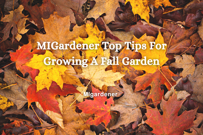 MIgardener's Top Tips For Growing A Fall Garden