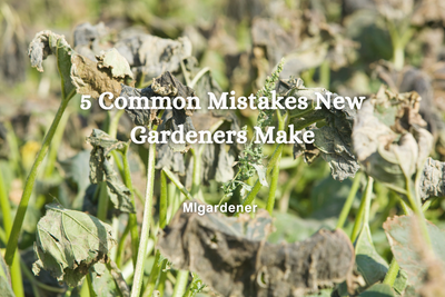 5 Common Mistakes New Gardeners Make
