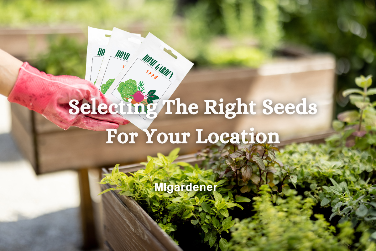 Picking the Right Seeds For Your Location To Maximize Success MIgardener