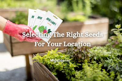 Picking the Right Seeds For Your Location To Maximize Success