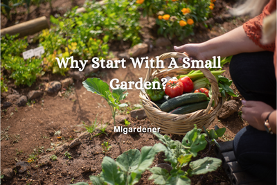 Why Start With A Small Garden?