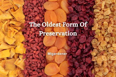 The Oldest Form Of Preservation