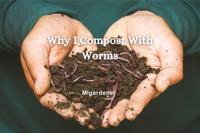 Why I Compost with Worms
