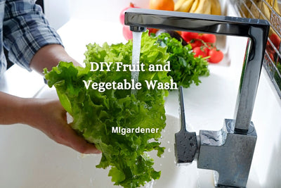 DIY Fruit and Vegetable wash