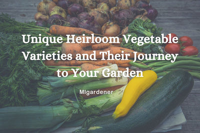 Unique Heirloom Vegetable Varieties and Their Journey to Your Garden