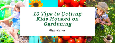 10 Tips to Getting Kids Hooked on Gardening