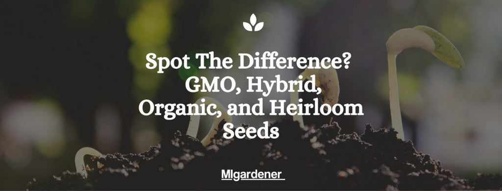 The Difference Between GMO, Hybrid, Organic, and Heirloom Seeds