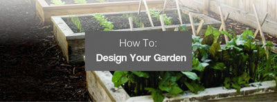 Design Tips To Create Your Dream Garden