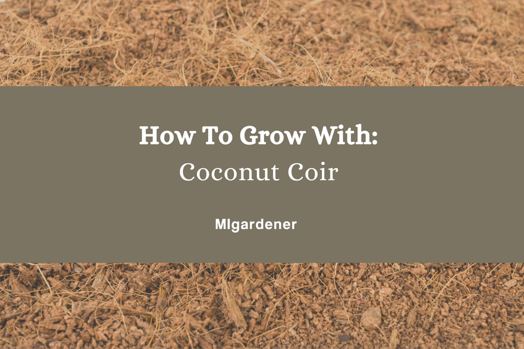 How To Grow With: Coconut Coir – MIgardener