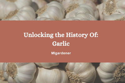 Unlocking The History Of: Garlic