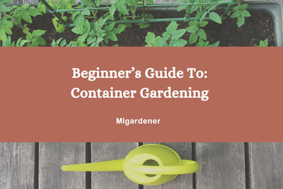Beginner's Guide To: Container Gardening
