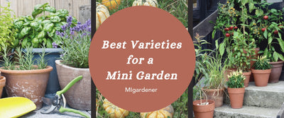 16 Dwarf Fruit and Veggie Varieties for Your Tiny Garden