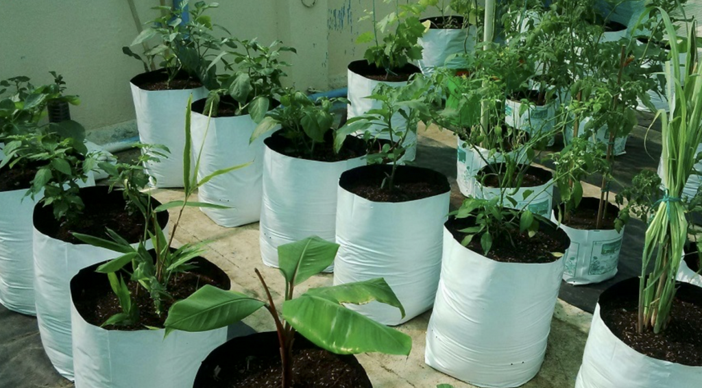 Vegetable Grow Bags Cloth Planters Gardening Potted Plant Grow Bags  Strawberry Garden Pots Flower Grow Bags