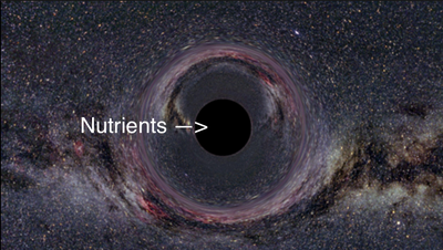 Could You Be Experiencing What Crop Scientists Call The BLACK HOLE Of Nutrients?