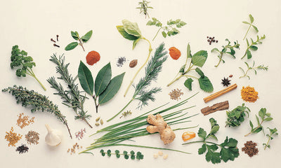 Here's the Difference Between Herbs and Spices