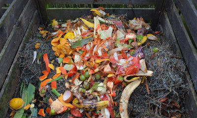 Why Compost Is The Perfect Growing Medium