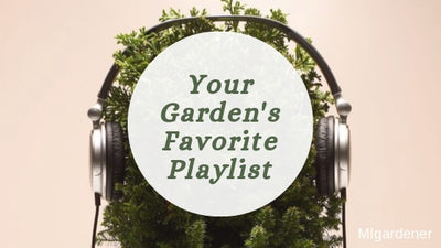 Do Your Plants Love Music? Find Out Your Garden's Go-To Playlist!