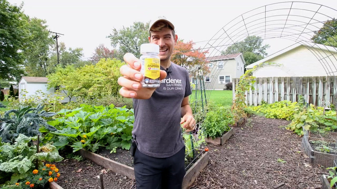 A man in a garden holding a bottle of aspirin.