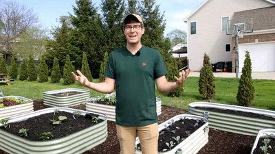 How to Start a Vegetable Garden: Step-by-Step Guide
