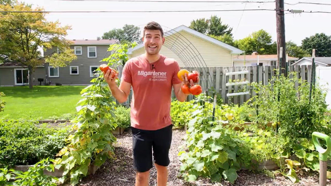 A man standing in front of a garden trellis.