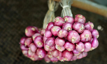 A bundle of fresh shallots.