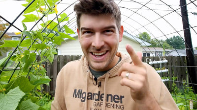 How To Build a Cattle Panel Trellis Arbor for Your Garden