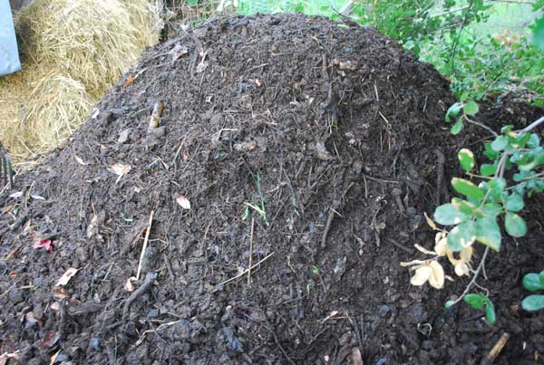 4 Great Organic Sources Of Nitrogen Found in Every Home
