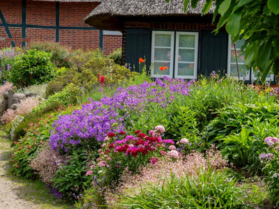 Cottage Garden Ideas to Transform Your Outdoor Space