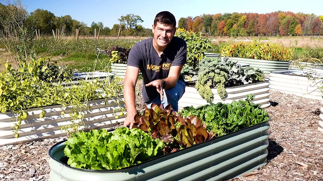 A man showing a beautiful pest free garden. 