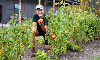 A man using a DIY tomato cage to support plants in his garden.