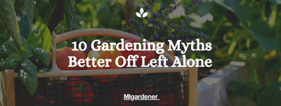 10 Gardening Myths Better Off Left Alone