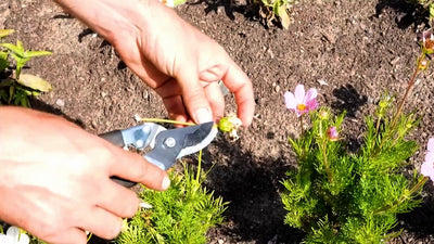 Best Tools In The Garden & How to Restore Gardening Tools