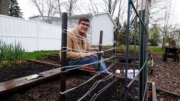A man showing two ideas for a DIY green pea trellis.