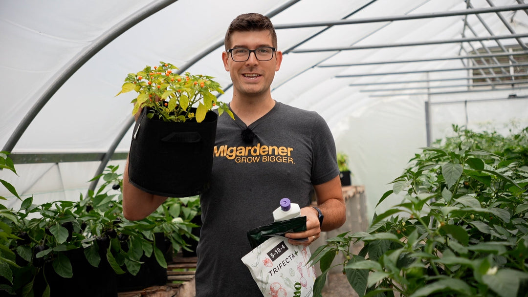 A man holding a grow bag with a thriving plant growing in it.