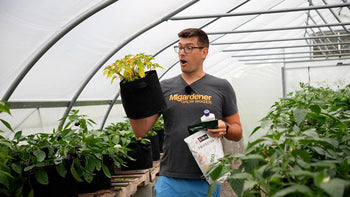 A man holding a grow bag with a thriving plant growing in it.