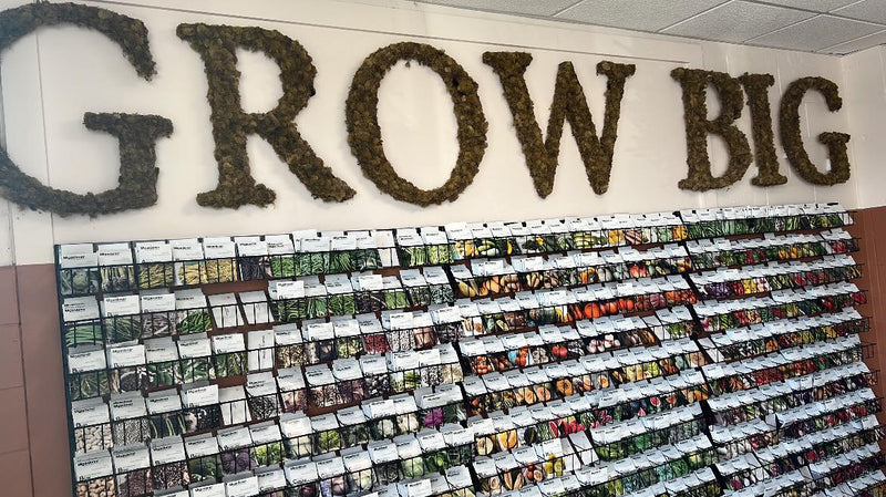 Seed packets at the MIgardener store.