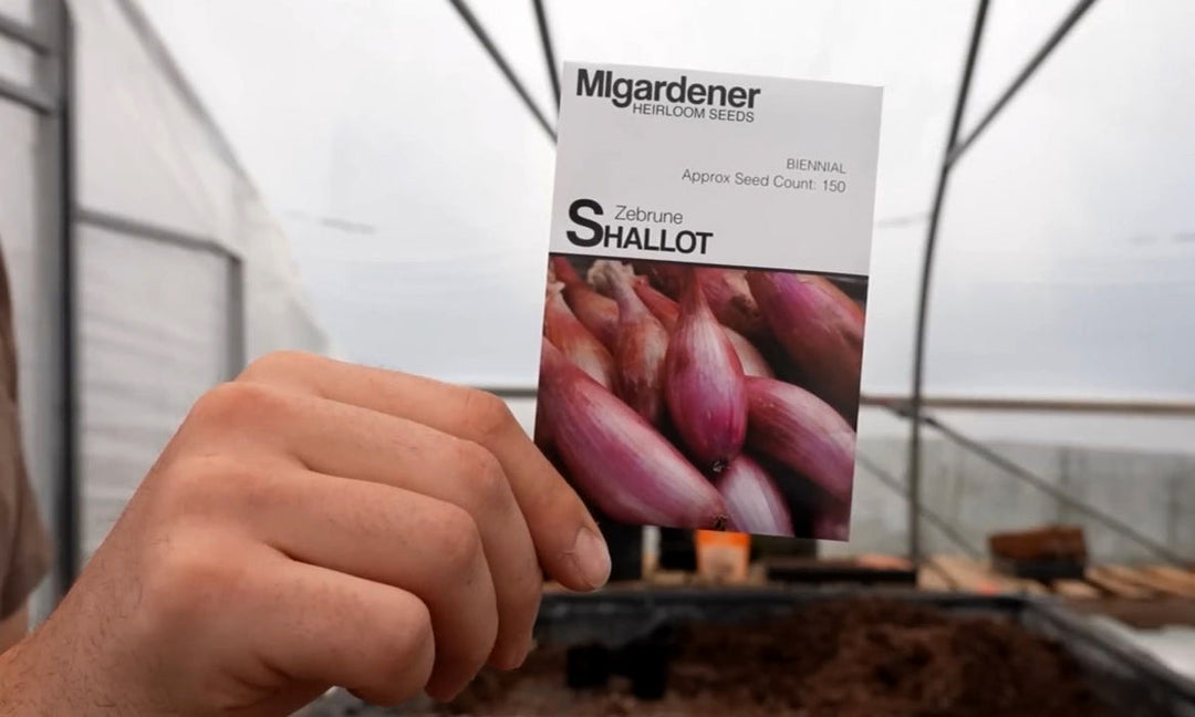 A man holding a packet of shallot seeds.