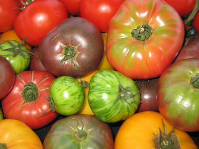 Guide to Understanding Tomatoes - Grown or Bought