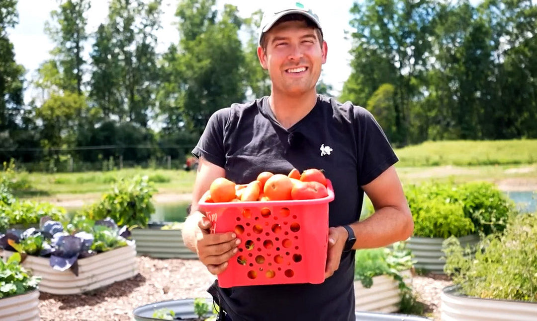 A man harvesting in a healthy garden.
