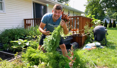 How to Grow Carrots: A Complete Organic Growing Guide