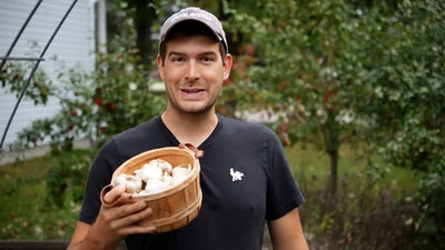 How to Grow Garlic: A Complete Organic Growing Guide