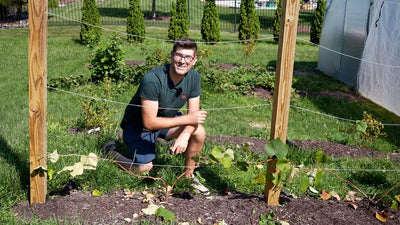 How to Grow Grapes: A Grower's Guide to Grape Cultivation