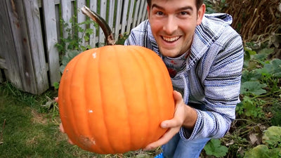 How to Grow A Pumpkin Plant (And Other Winter Squash)