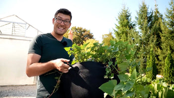A man holding a container with sweet potatoes growing in it.