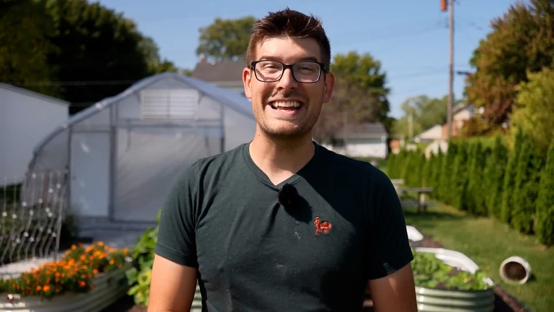 A man in a newly planted vegetable garden.