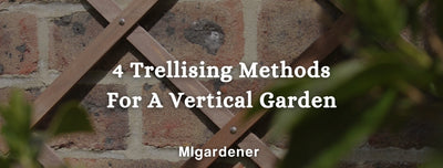 4 Trellising Techniques For A Vertical Garden