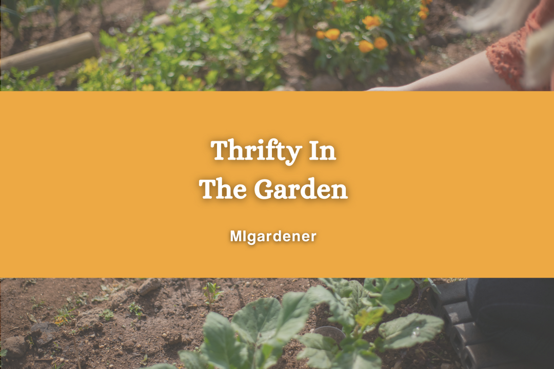Thrifty Gardening Tips To Save Money on  A Garden